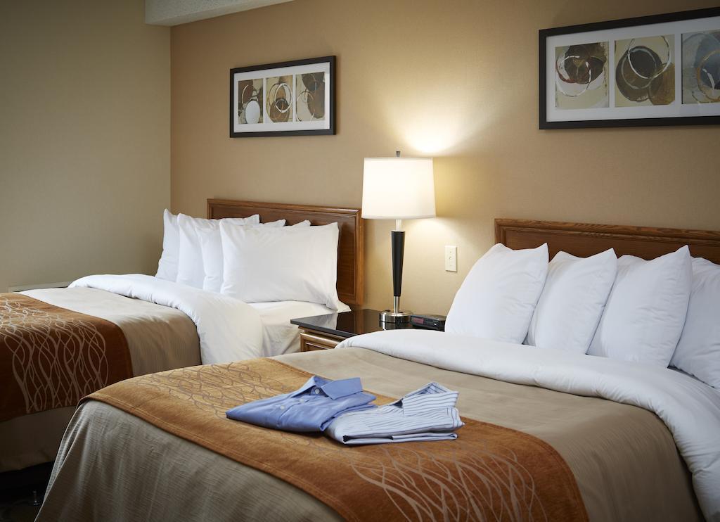 Comfort Inn Hamilton Esterno foto